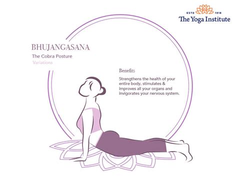 Bhujangasana Variations