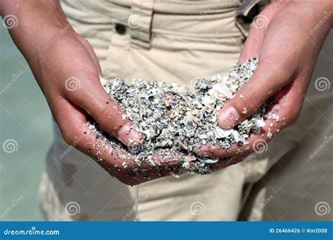 Handful of Sand and Seashells Stock Photo - Image of vacations, finger: 26466426