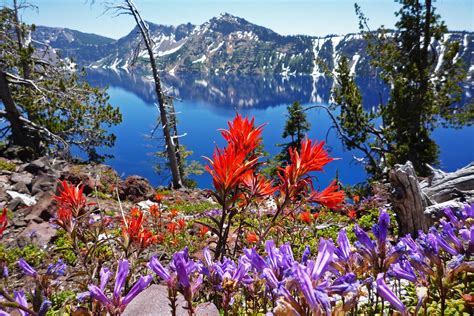 11 FASCINATING Crater Lake National Park Facts (Facts + Trivia)