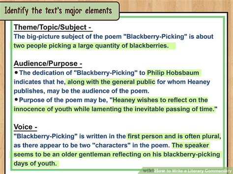 How to Write a Literary Commentary (with Examples) - wikiHow