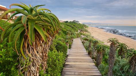 Visit Jeffreys Bay: 2024 Travel Guide for Jeffreys Bay, Eastern Cape | Expedia