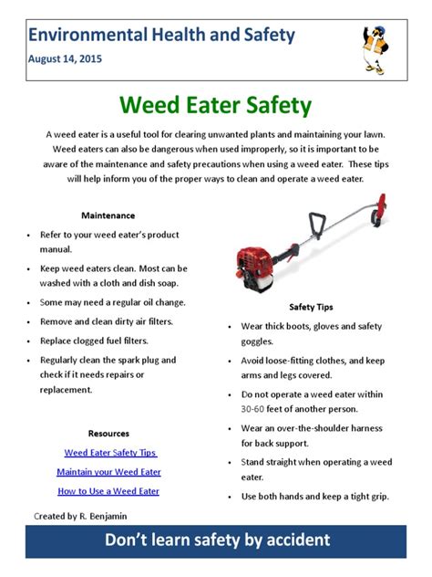 Weed Eater Safety: Environmental Health and Safety | PDF