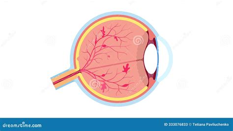 (Amd Screening. Macular Degeneration Test. Vision Control. Grid Scotoma Eye Test. Printable ...