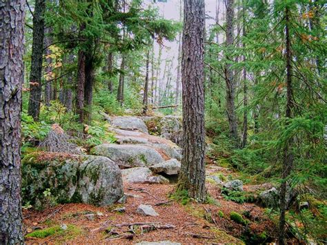 Rock Climbing & Hiking Trails - Gunflint Lodge