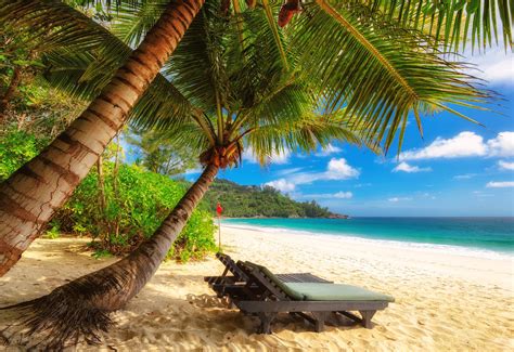 Mahé Beach Jigsaw Puzzle