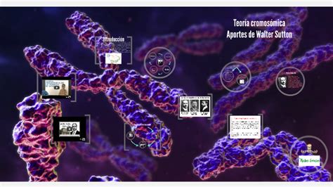 Teoría Cromosómica: Walter Sutton by Jesmel Muñoz on Prezi