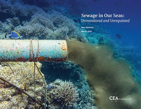 Effects of sewage pollution on coral reef communities