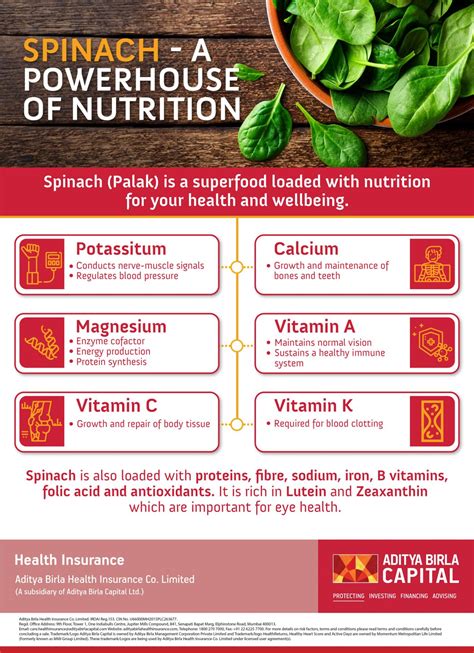 Spinach Nutrition: Benefits Of Eating Palak