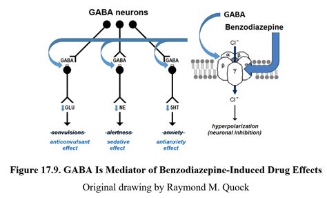 Benzodiazepines Mechanism Of Action