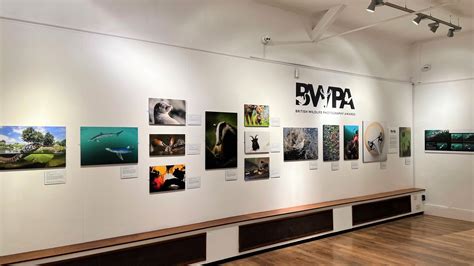 BWPA Exhibition Tour — British Wildlife Photography Awards