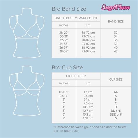 Bra Measurement Cup Size at Wallace Taube blog