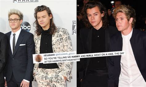 Did Harry Styles And Niall Horan Meet Up? Fans Are Convinced The One Direction Stars... - Capital