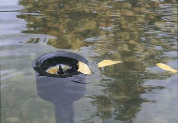 Koi Pond Skimmers | Koi Fish Care Info