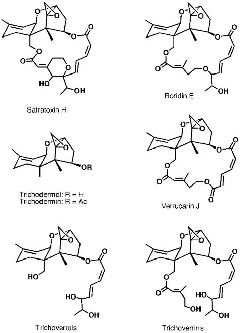 Structures of trichothecenes. | Download Scientific Diagram