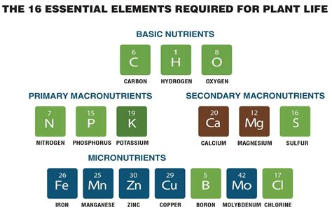 What are the 16 essential nutrients that plant uses?