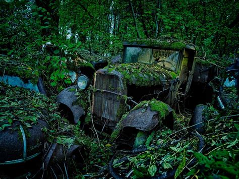 Pictured: The haunting car graveyards where classic vehicles are left ...