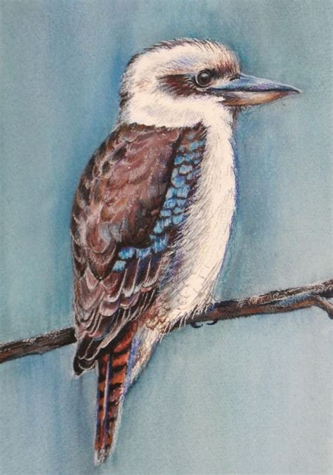 Kookaburra by JoanneBarby on DeviantArt | Bird painting acrylic, Birds painting, Art painting