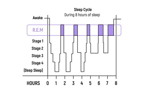 What is REM Sleep & Why Is It So Important? - Tripsitter