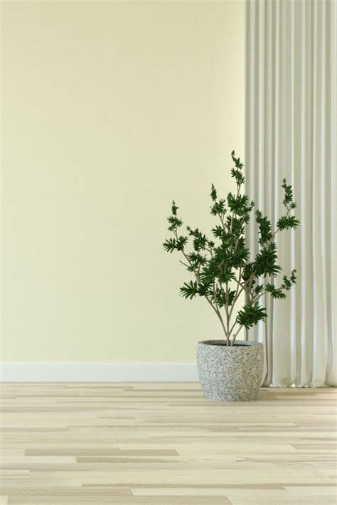 Hickory Floor with Pale Yellow Wall Color For Room | Yellow walls ...