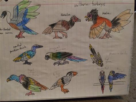 feather family bird creations by littleloomex on DeviantArt