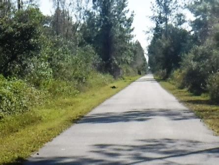 Van Fleet Trail, Top 10 FL Biking. E-Z Trail Map, 65+ Photos. BikeFlorida.net