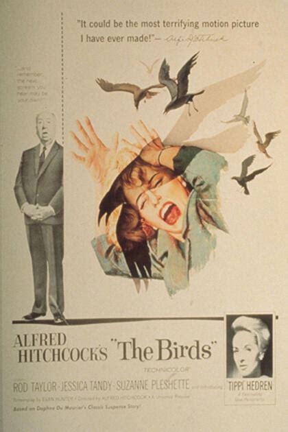 The Birds (1963) Movie Photos and Stills - Fandango