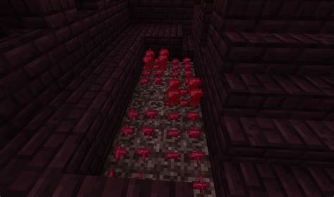 Nether Wart farming in Minecraft 1.0? - Arqade