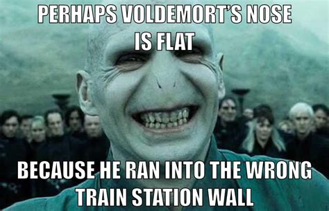 Why Voldemort's Nose is Flat : r/harrypotter