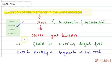 Excretion of bile pigments in the urine indicates