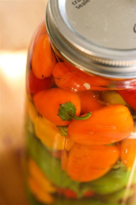 Preserving Peppers in Vinegar and Salt | Recipe | Stuffed peppers, Preserving peppers, Pressure ...