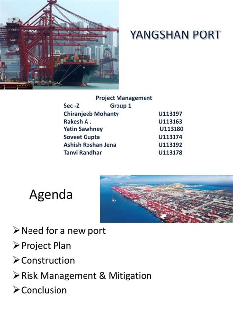 Yangshan port project management | Shanghai | Port