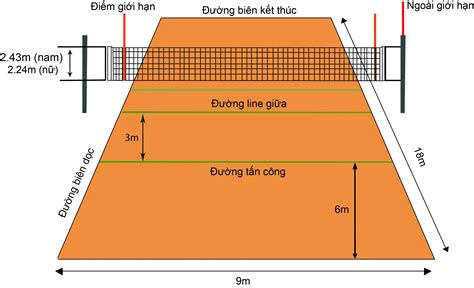 Quy Trình Thi Công Sân Bóng Chuyền đúng Tiêu Chuẩn 2022