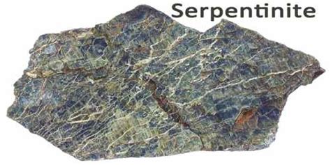 Serpentinite - Assignment Point