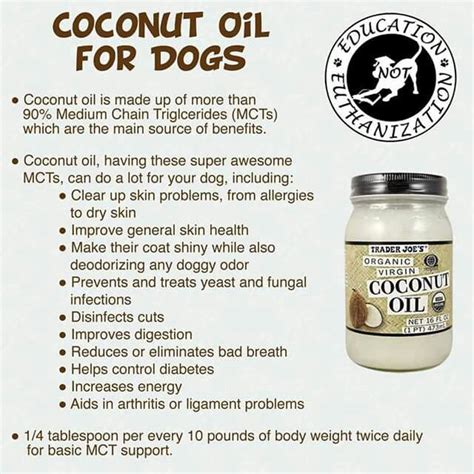 Coconut Oil for Dogs | Coconut oil for dogs, Dog food recipes, Oils for dogs