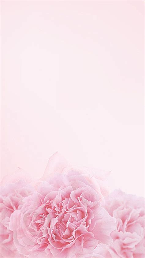 Pink Watercolor Flower Blossom Background (With images) | Pink watercolor flower, Watercolor ...