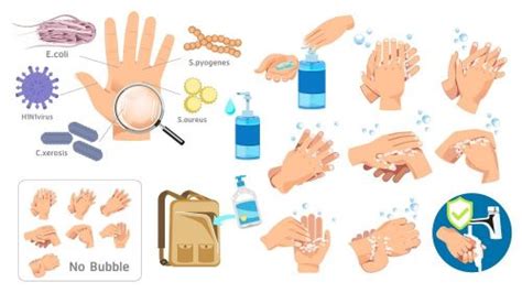 Enterococcus Faecalis Infection | STD.GOV Blog