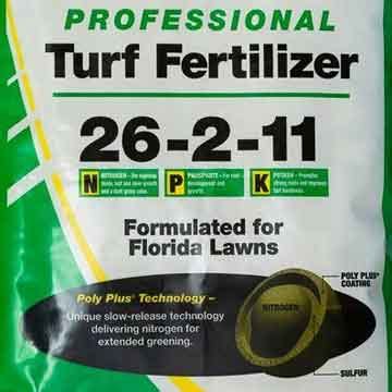 Best Fertilizer For St Augustine Grass | PlantCareToday