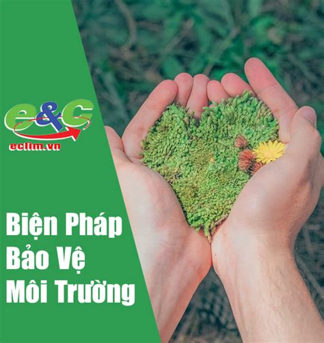 Những biện pháp bảo vệ môi trường đơn giản và hiệu quả nhất