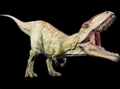 Giganotosaurus Roar Sound Effect - YouTube