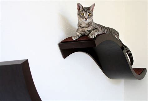 4 Cat Shelves That Make A Better Cat House.