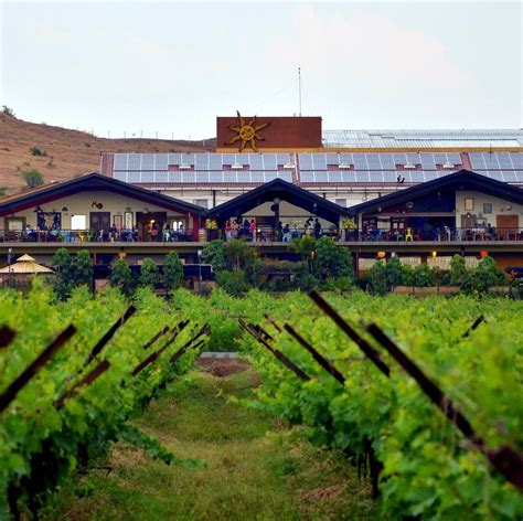 SULA VINEYARDS (2024): All You Need to Know BEFORE You Go