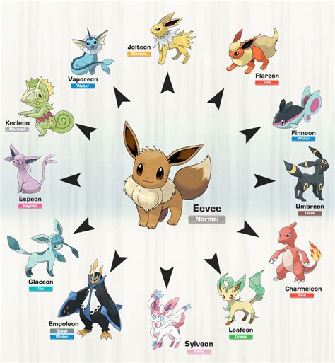 How To Get Eevee Evolutions In Pokemon Sword - Anna Ly Kleurplaten