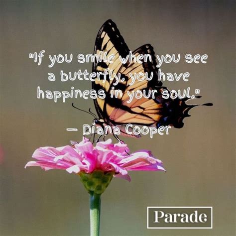 100 Butterfly Quotes | parade