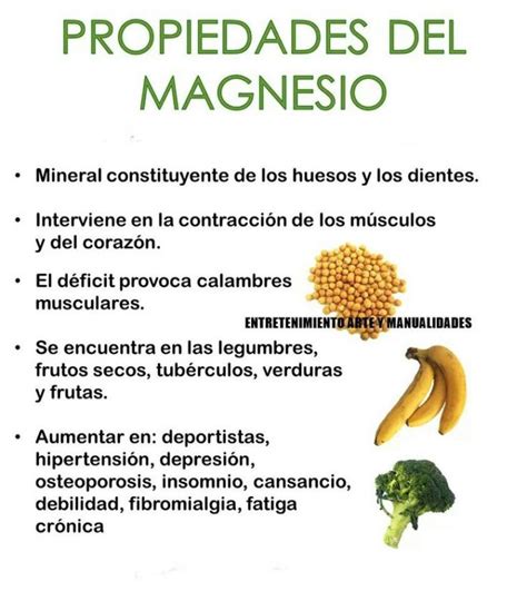 10 Alimentos Ricos en Magnesio Que Tomarás 【TODOS】 Los Días ♥