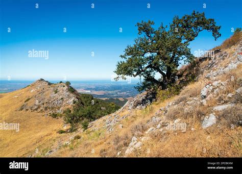 Fremont Peak State Park in California Stock Photo - Alamy