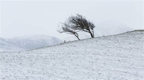 How Do You Calculate the Wind Chill? | Mental Floss