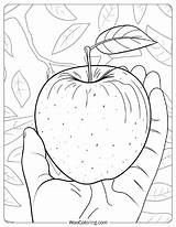 28 Apple Coloring Pages Free PDF To Print  Woo sketch template