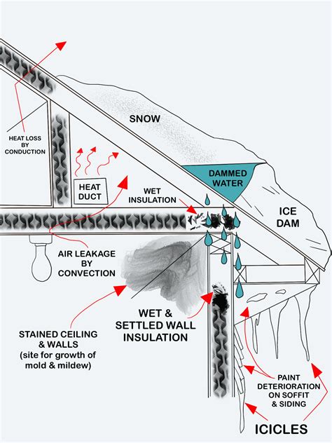 Dealing with and preventing ice dams | UMN Extension