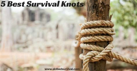 6 Best Survival Knots You Can Trust With Your Life