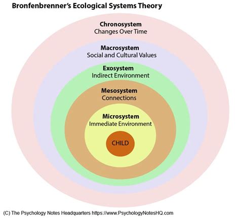 What is Bronfenbrenner's Ecological Systems Theory? - The Psychology Notes Headquarters ...